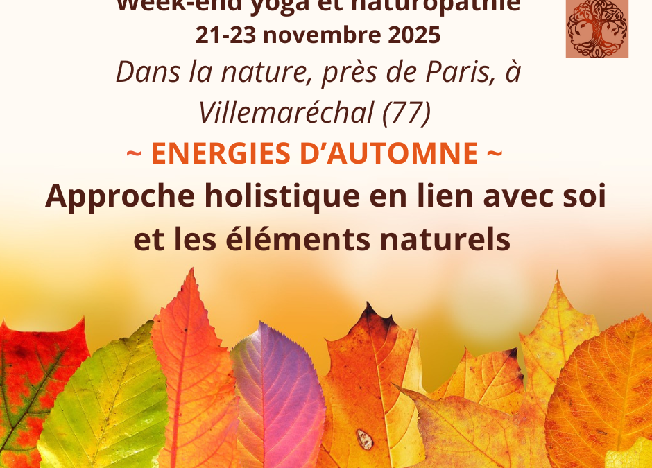 Stage « Énergies d’automne » du 21 au 23 Novembre 2025