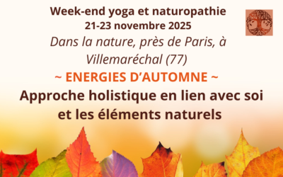 Stage « Énergies d’automne » du 21 au 23 Novembre 2025